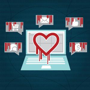 heartbleed bug