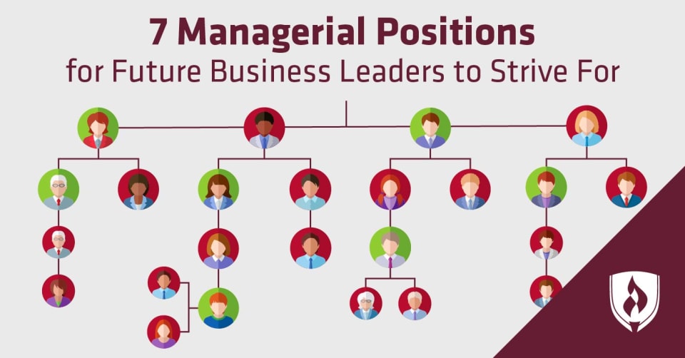 illustration of an organizational chart