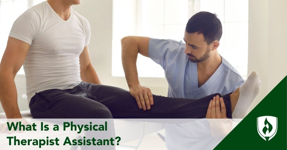 what is a physical therapist assistant