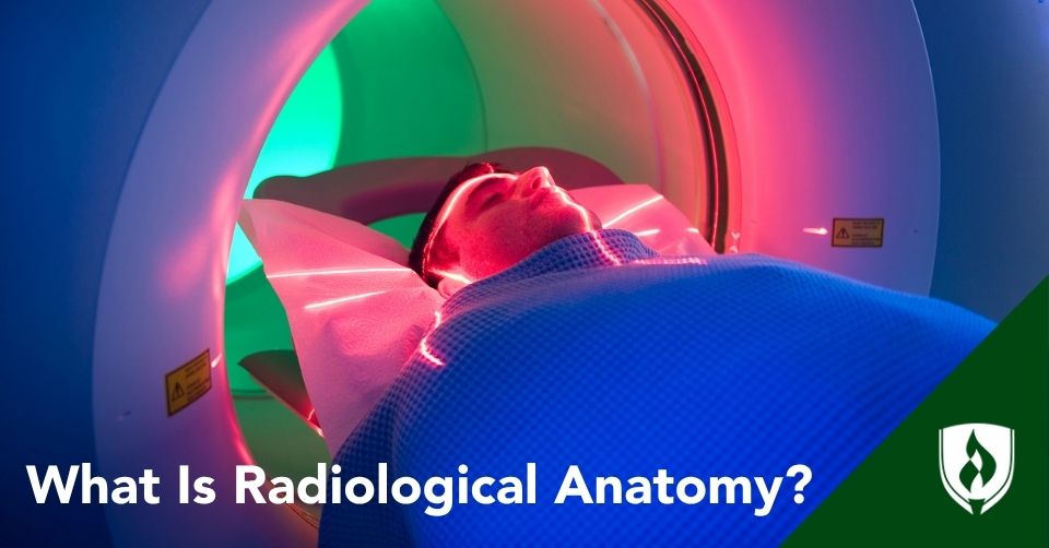 what is radiological anatomy header A patient going in for a brain scan