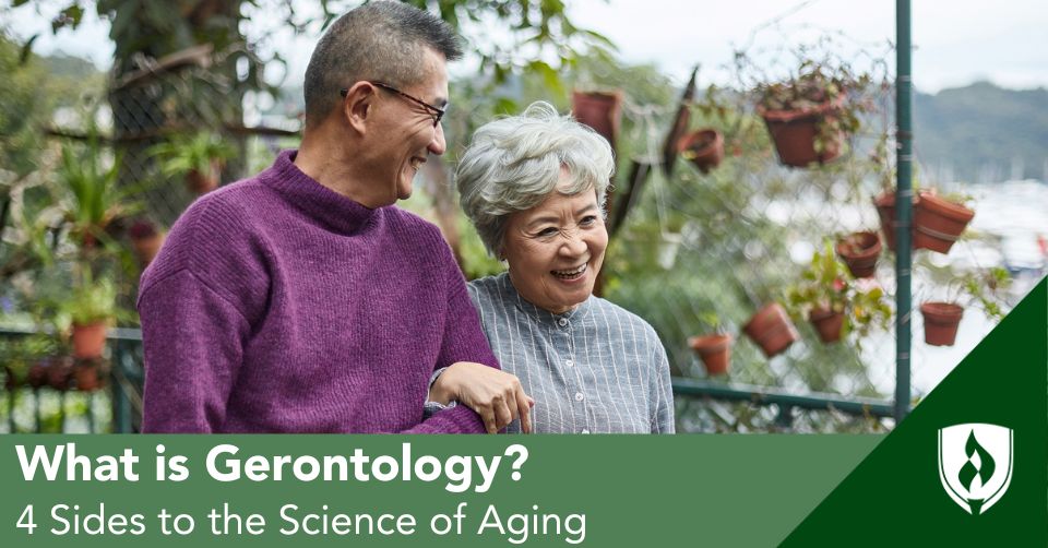An elderly couple walk arm in arm through a garden